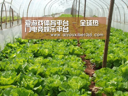 种植基地五