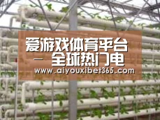 环境展示六
