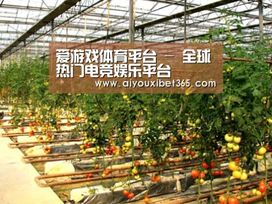 种植基地二